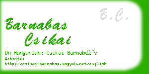 barnabas csikai business card